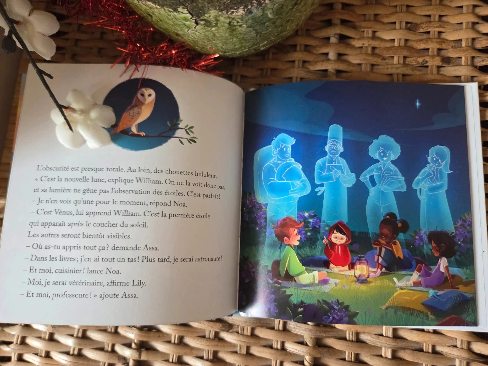 💜Le pic du midi d'ossau livro infantil – photo 3